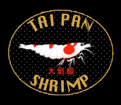 Tai Pan Shrimp